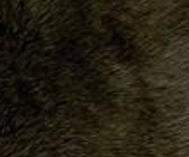 N° 6