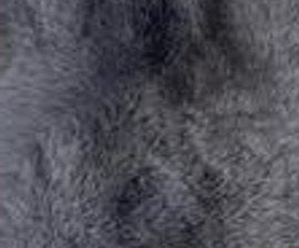 N° 8