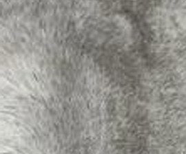 N° 12