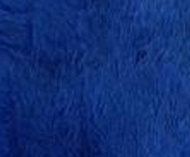 N° 16